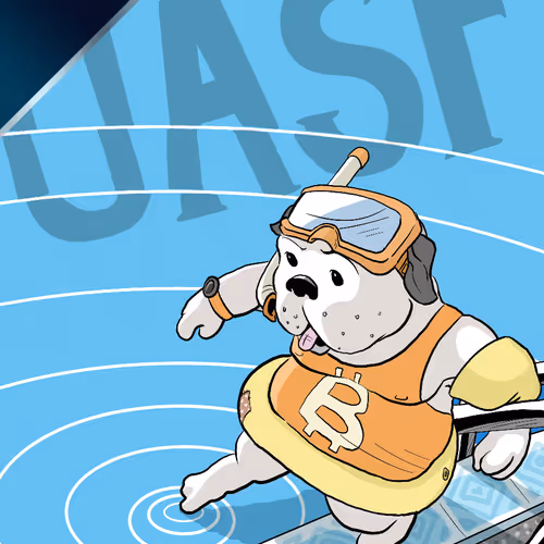 Curio Card #17b (UASF)