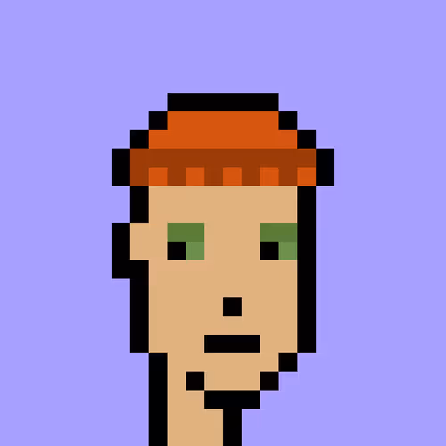 V1 PUNK #5565