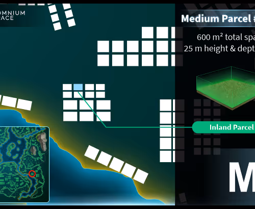 Medium #1423 (M) parcel in Somnium Space
