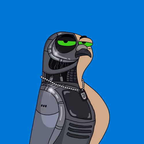 Gutter Pigeon #6781