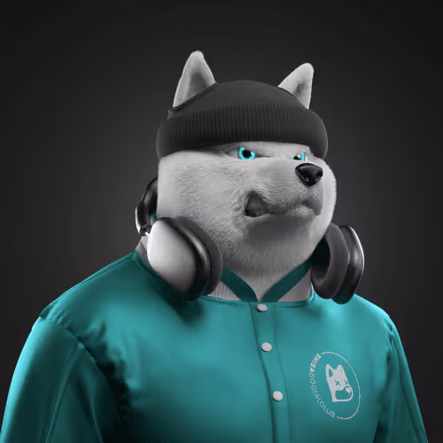 Shiba #1234