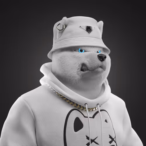 Shiba #6884