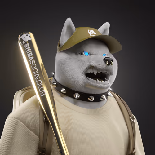 Shiba #3804