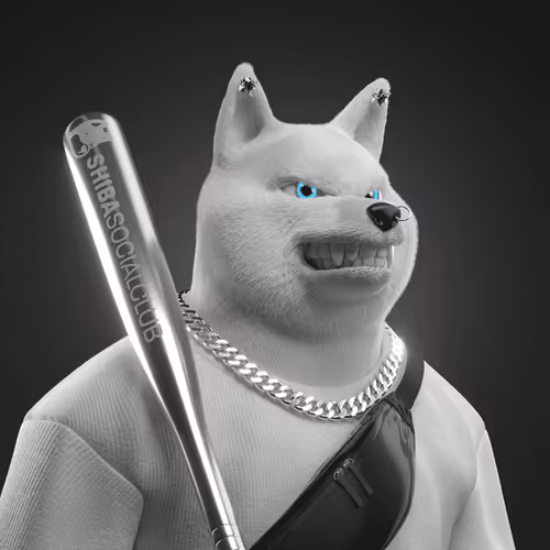 Shiba #3843