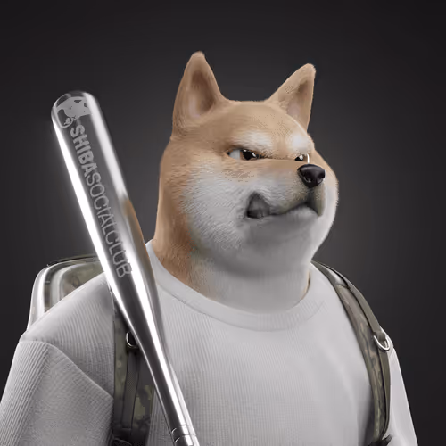 Shiba #4289